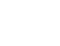 The Analog Club